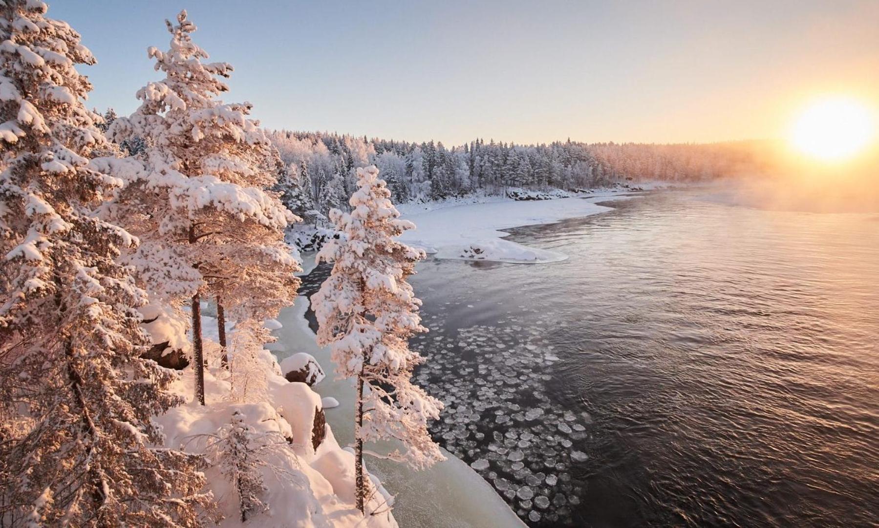 Villa Skog Aurora Igloos Kalix Esterno foto