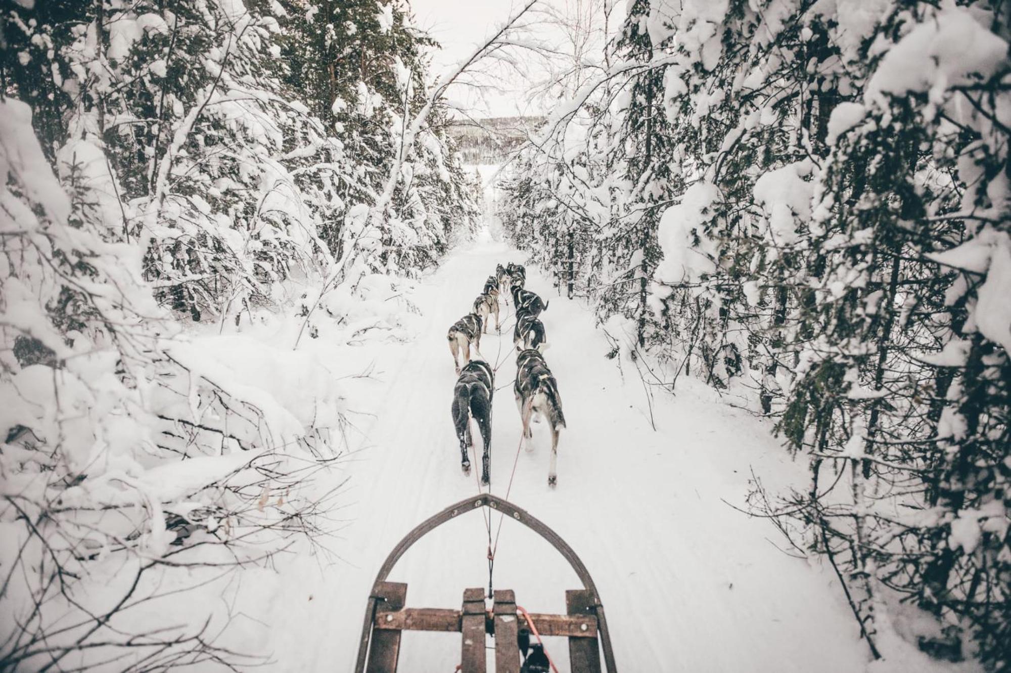 Villa Skog Aurora Igloos Kalix Esterno foto