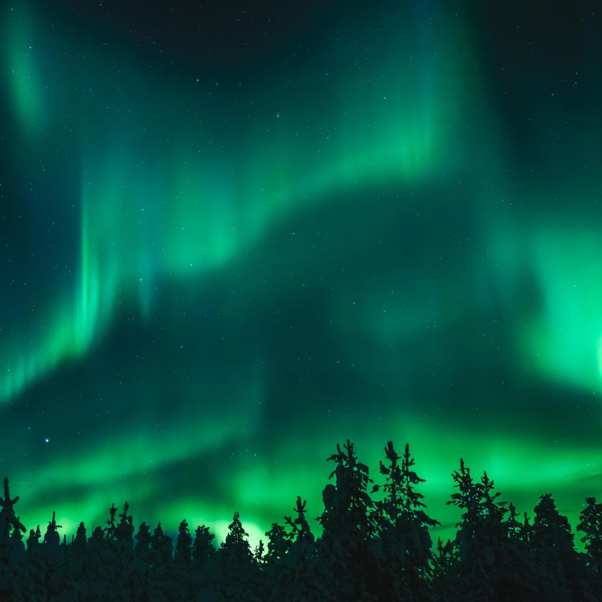 Villa Skog Aurora Igloos Kalix Esterno foto