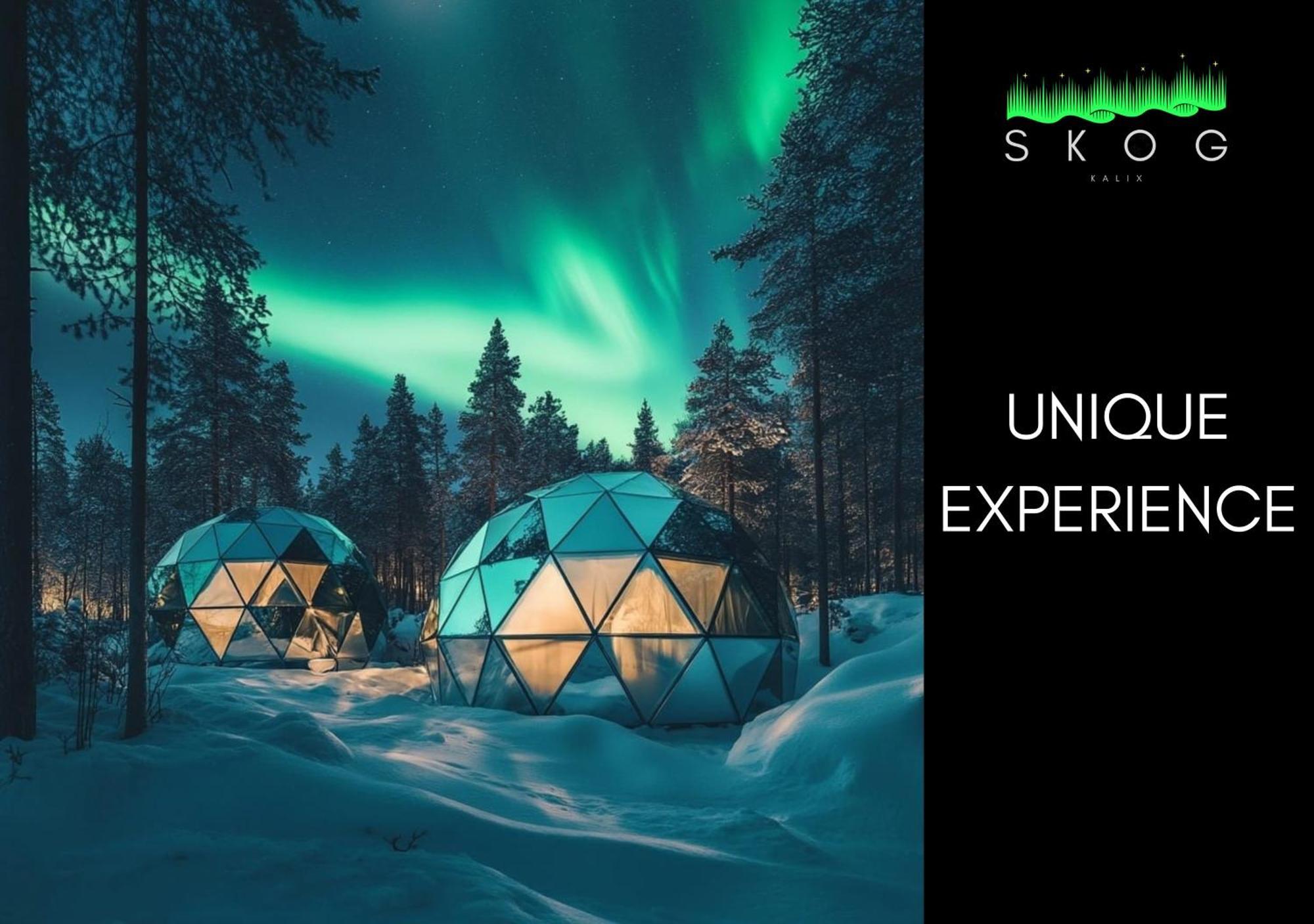 Villa Skog Aurora Igloos Kalix Esterno foto