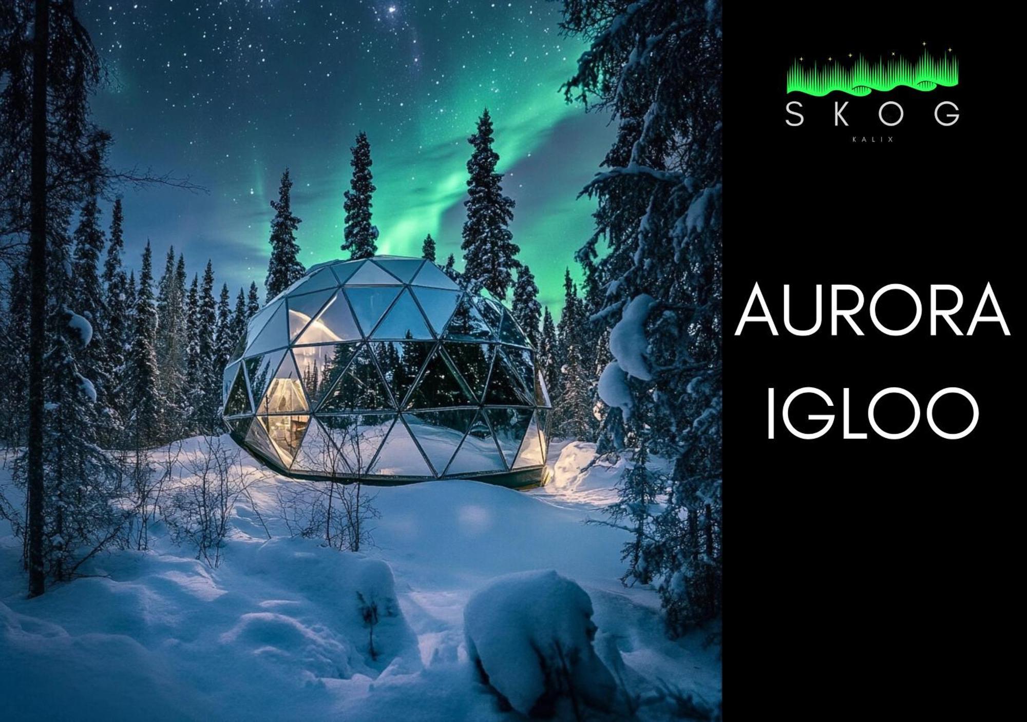 Villa Skog Aurora Igloos Kalix Esterno foto