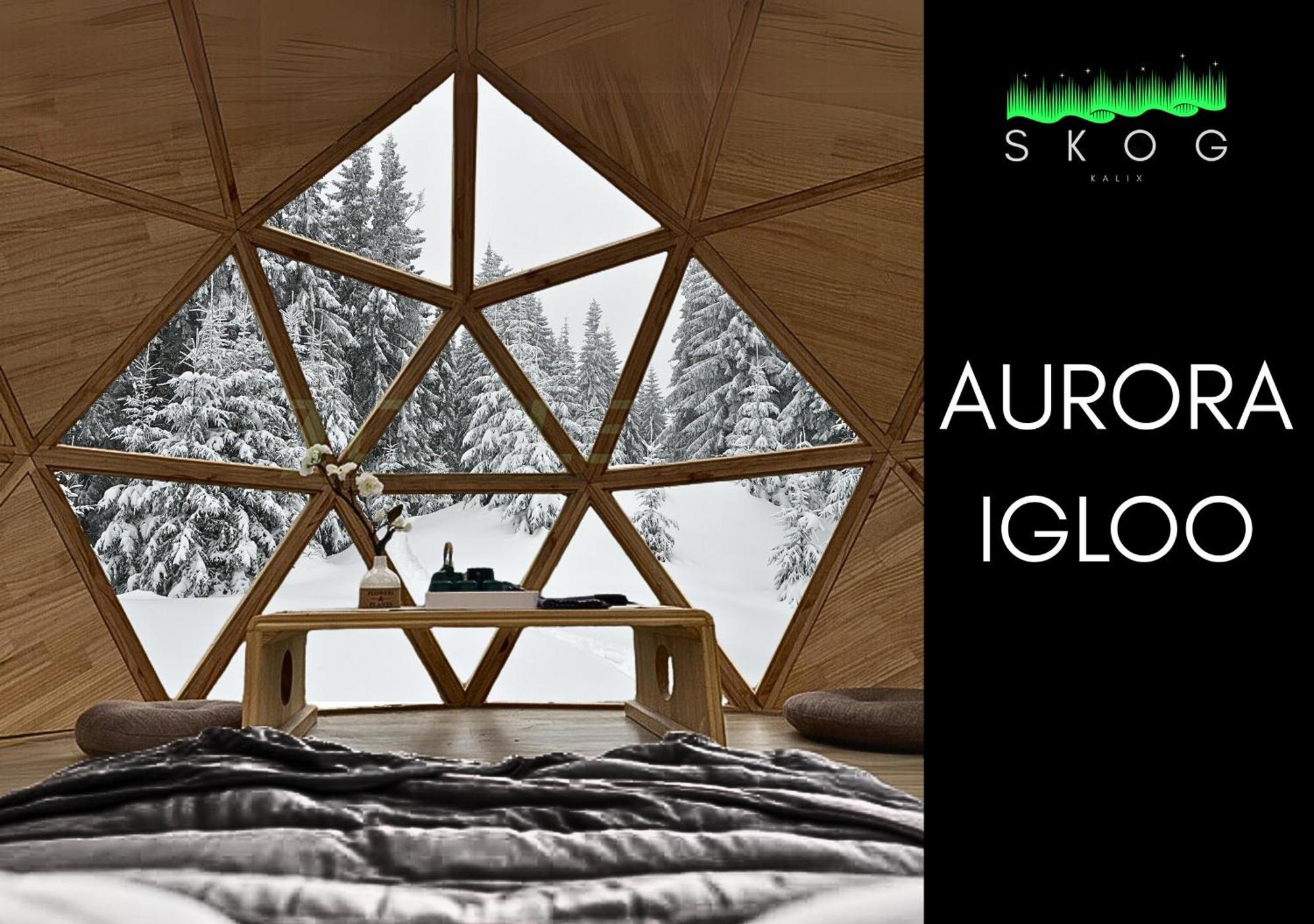 Villa Skog Aurora Igloos Kalix Esterno foto