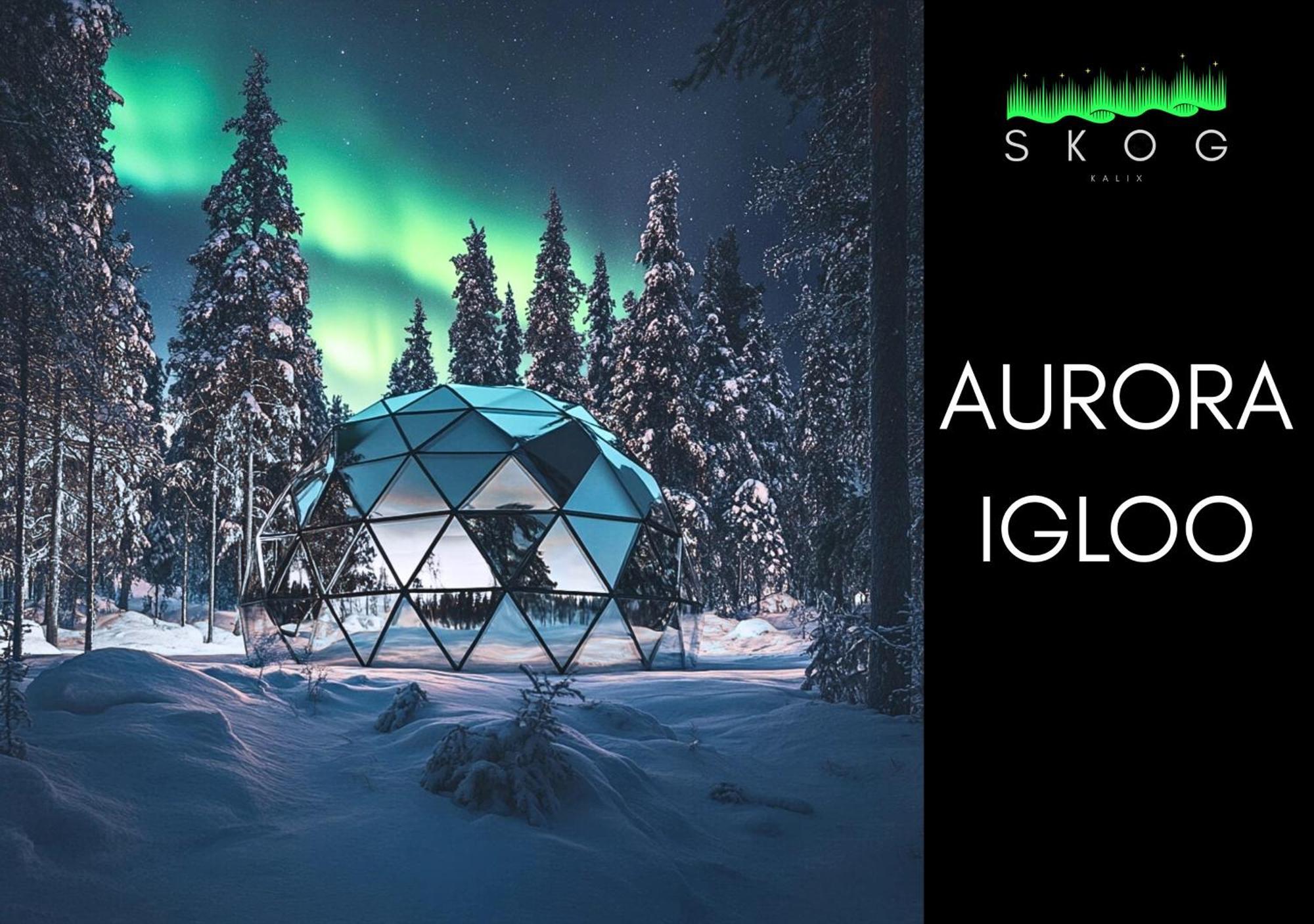Villa Skog Aurora Igloos Kalix Esterno foto