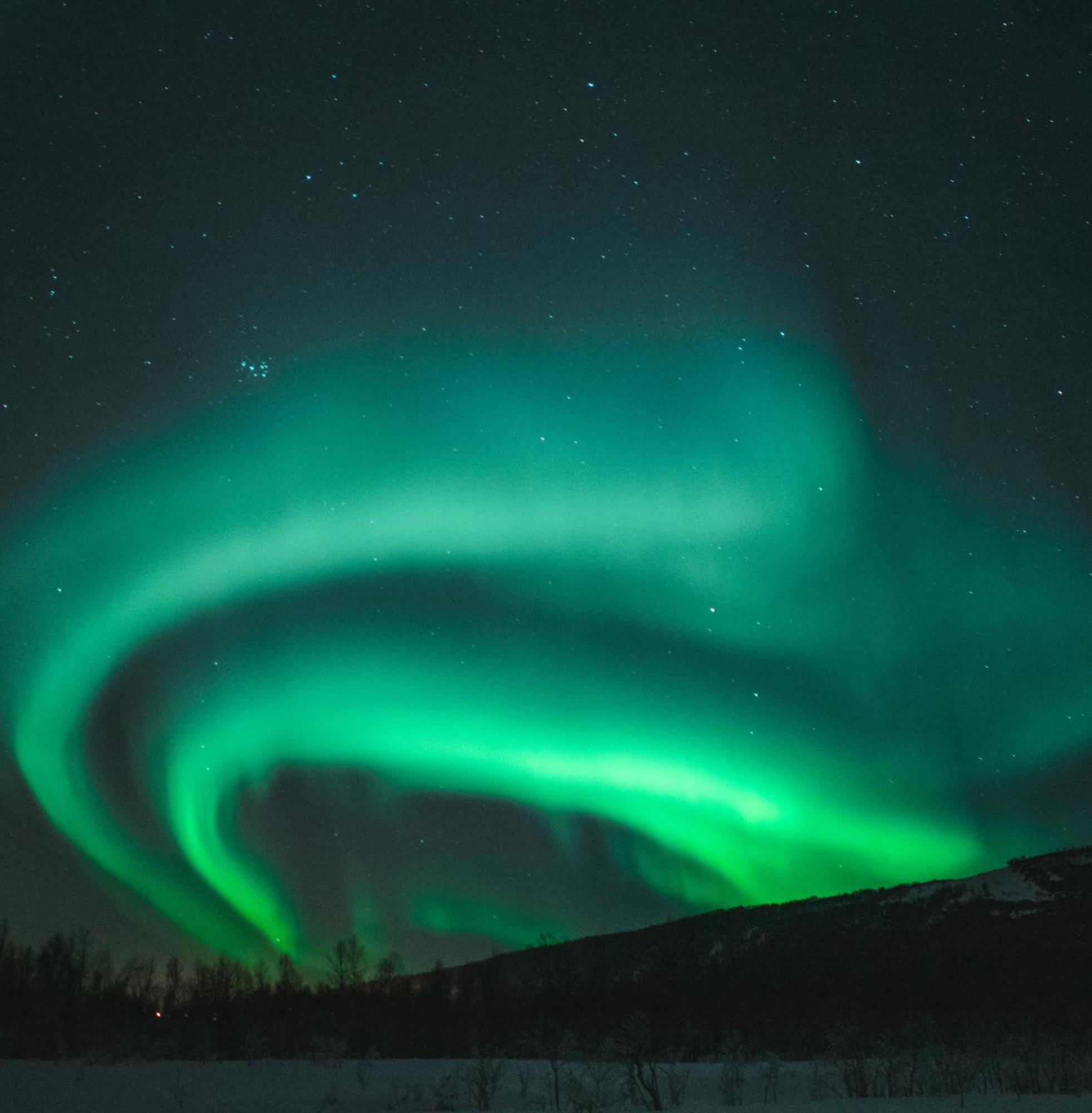 Villa Skog Aurora Igloos Kalix Esterno foto