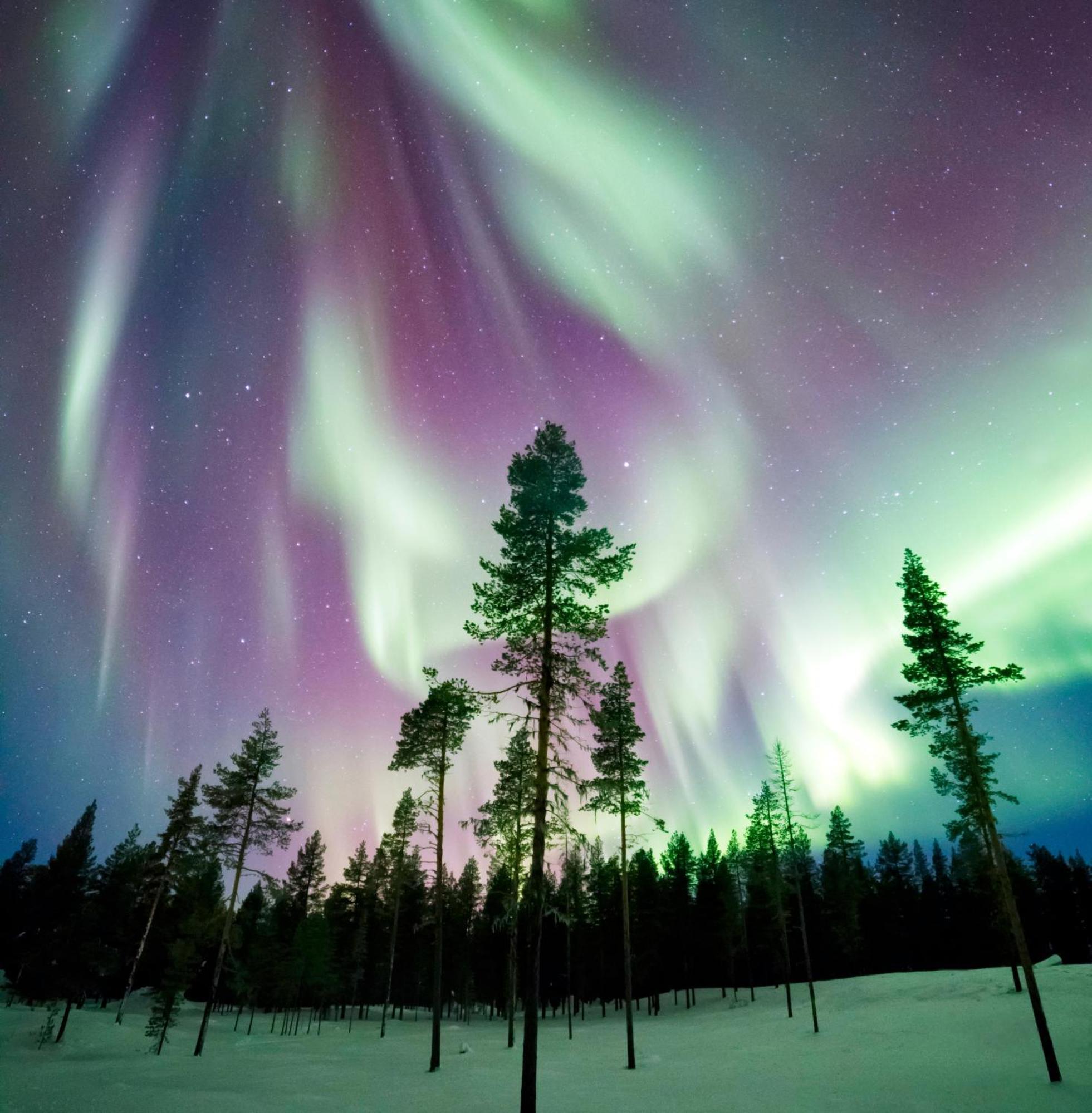 Villa Skog Aurora Igloos Kalix Esterno foto