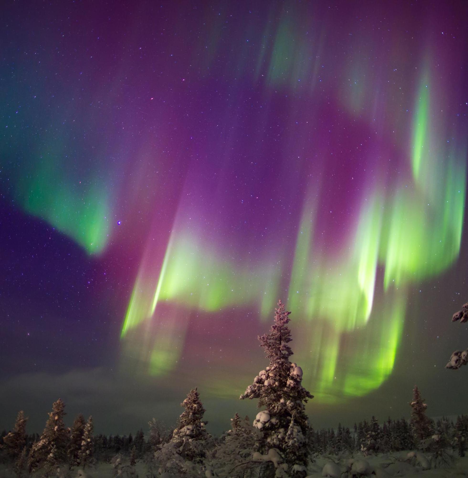Villa Skog Aurora Igloos Kalix Esterno foto
