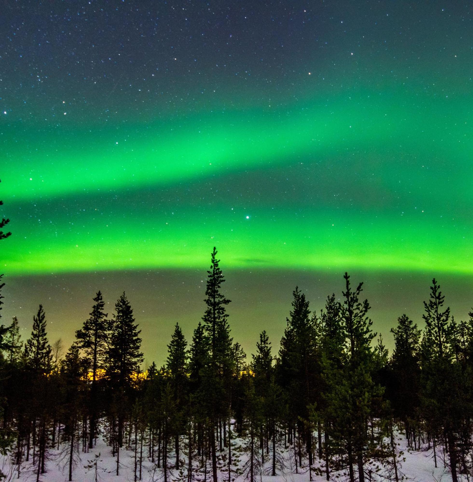 Villa Skog Aurora Igloos Kalix Esterno foto