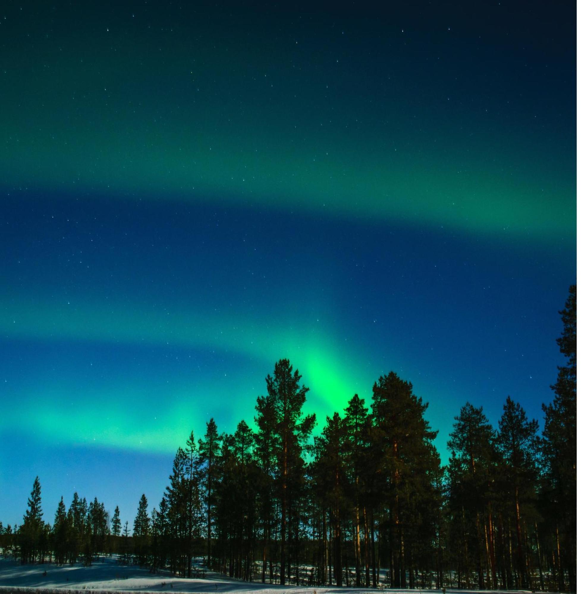 Villa Skog Aurora Igloos Kalix Esterno foto
