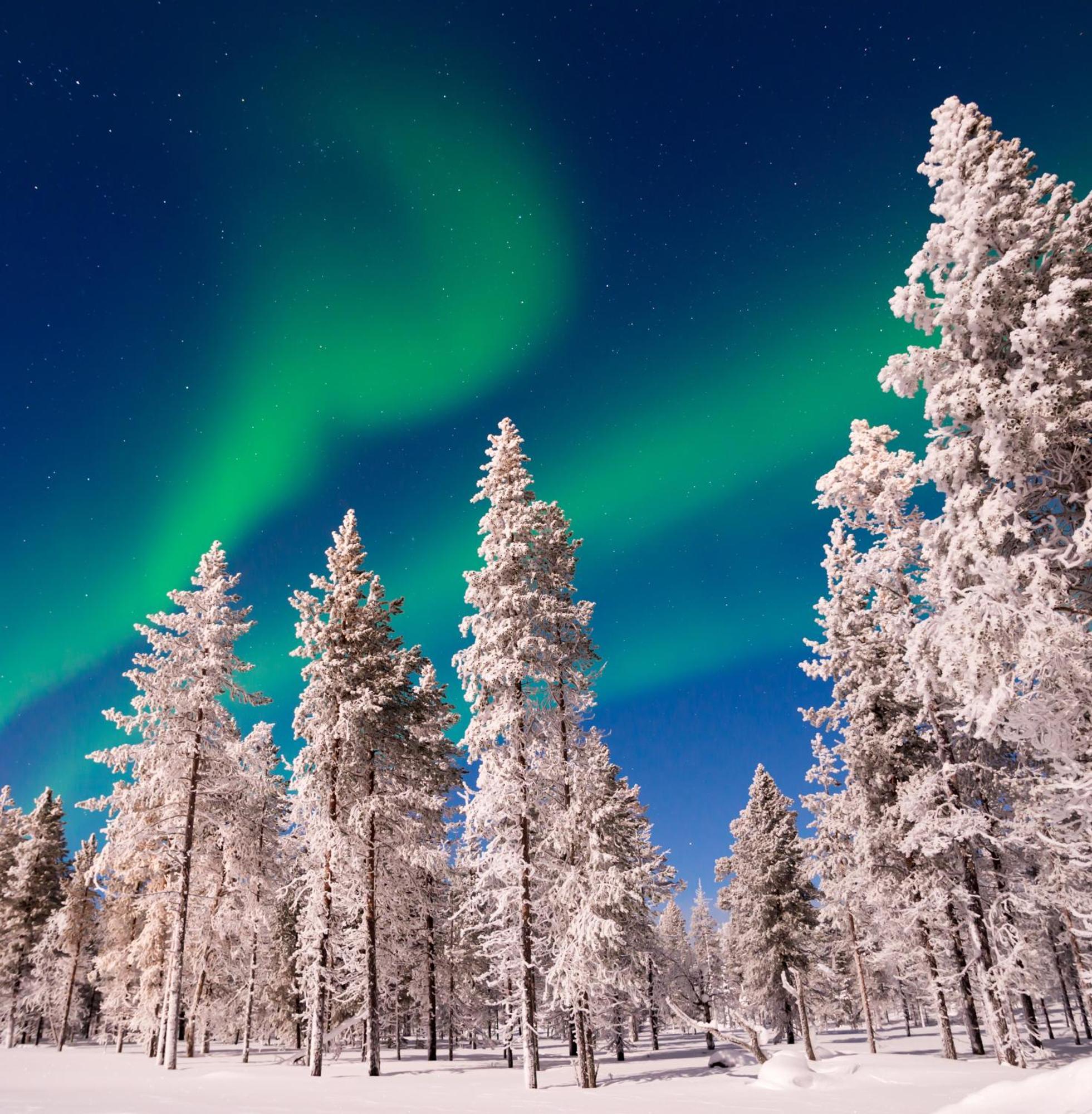 Villa Skog Aurora Igloos Kalix Esterno foto