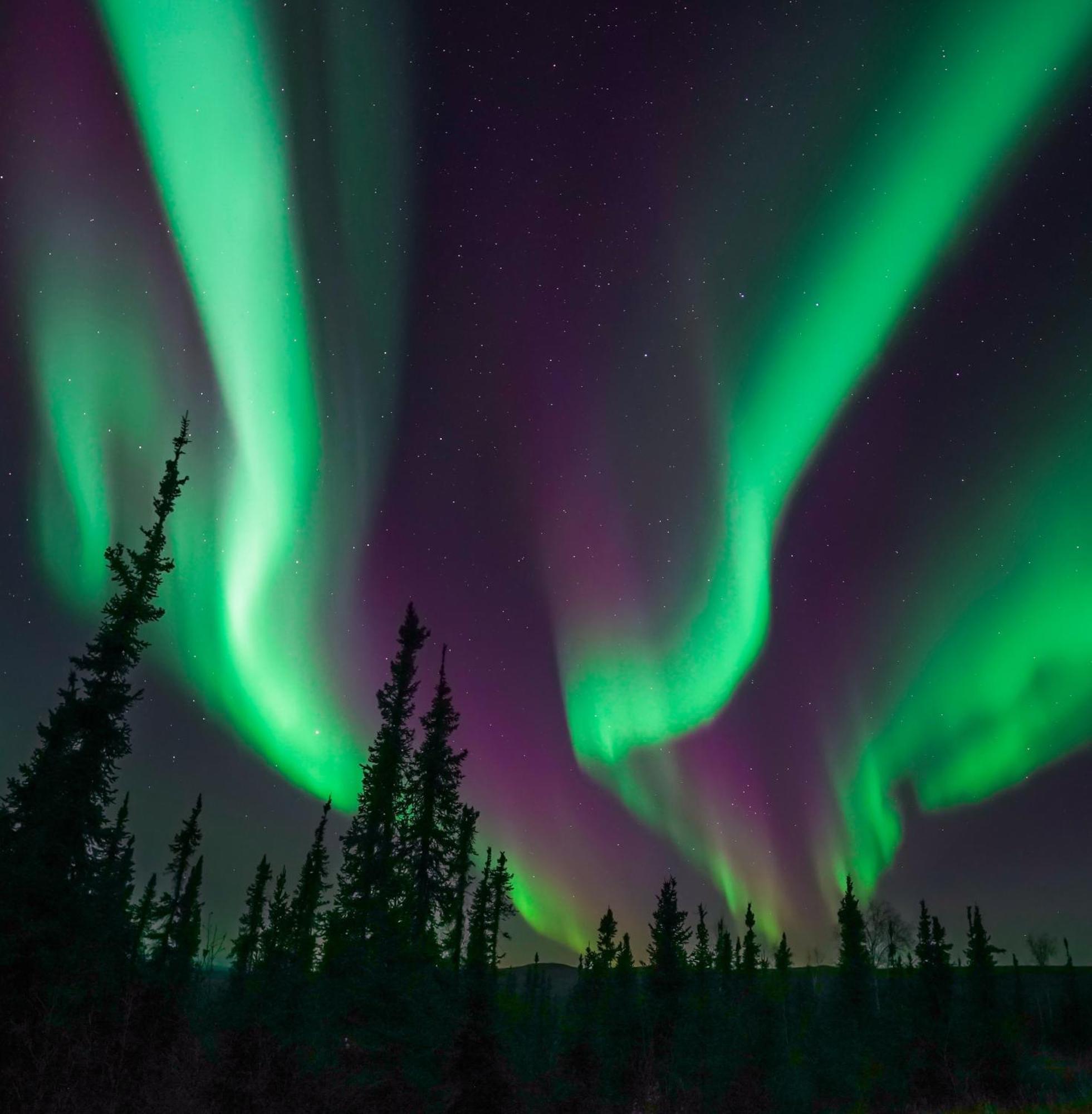 Villa Skog Aurora Igloos Kalix Esterno foto