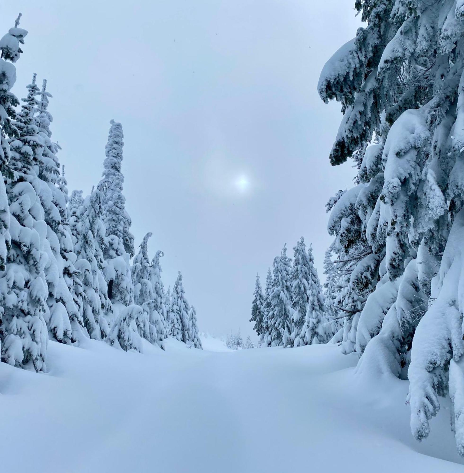 Villa Skog Aurora Igloos Kalix Esterno foto