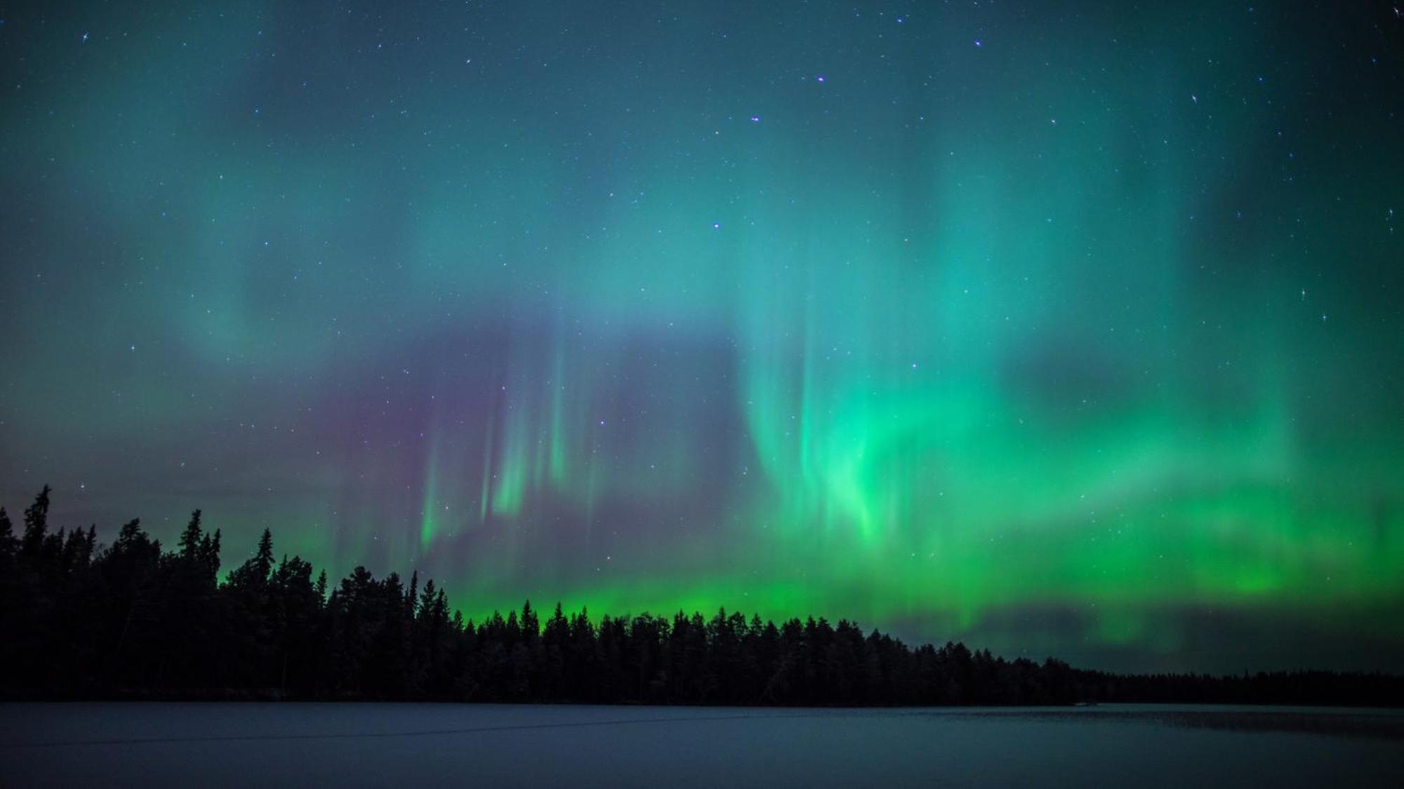 Villa Skog Aurora Igloos Kalix Esterno foto