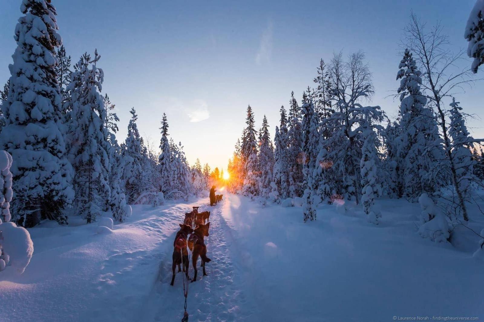 Villa Skog Aurora Igloos Kalix Esterno foto