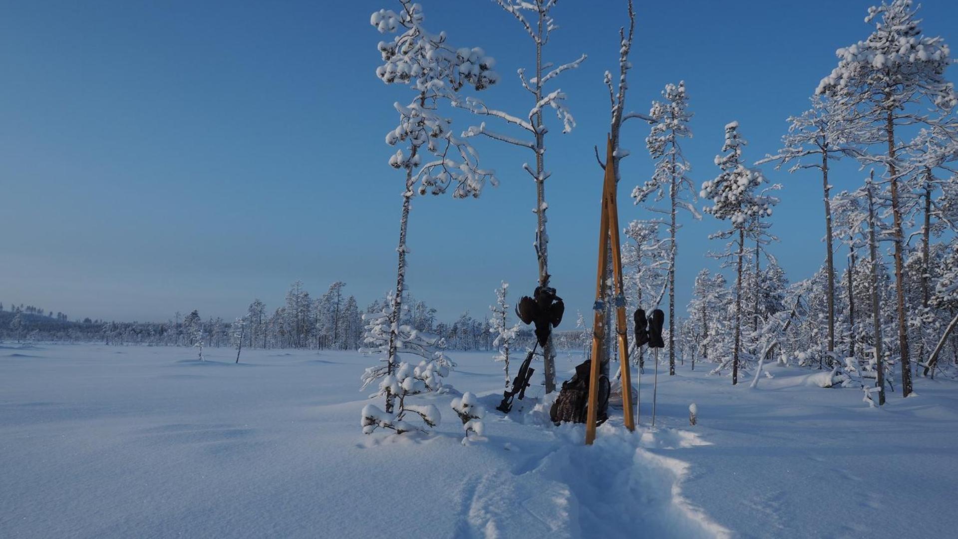Villa Skog Aurora Igloos Kalix Esterno foto